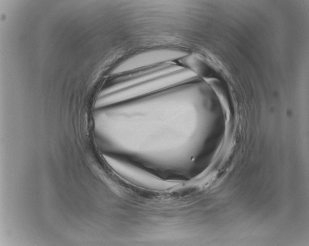 X0000071810589200607282354