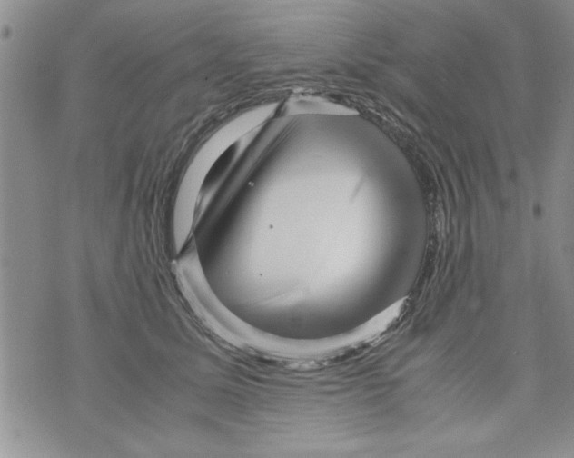 X0000071810611200607282354