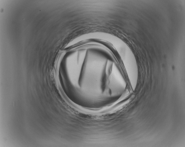 X0000071810613200607282354