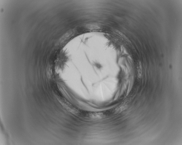 X0000071810618200607282354