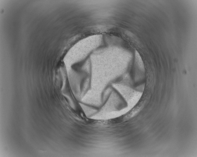 X0000071810624200607282354