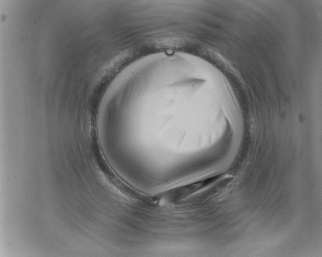 X0000071810637200607282353