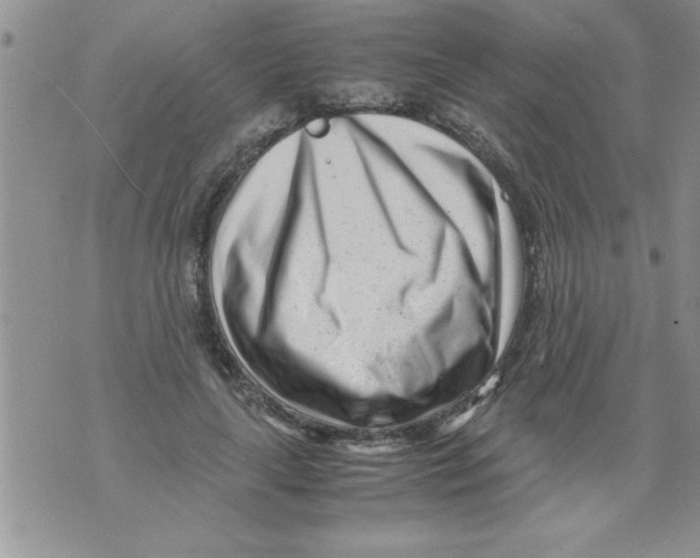X0000071810643200607282353