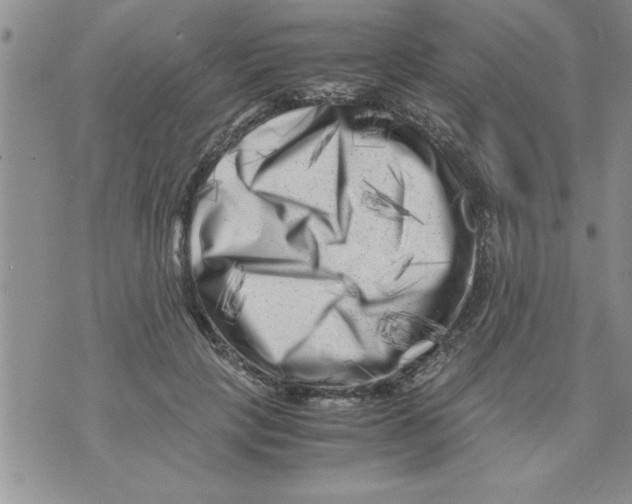 X0000071810649200607282353