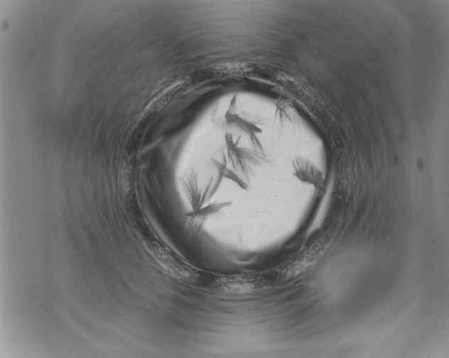 X0000071810658200607282354