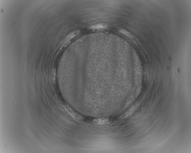 X0000071810660200607282354