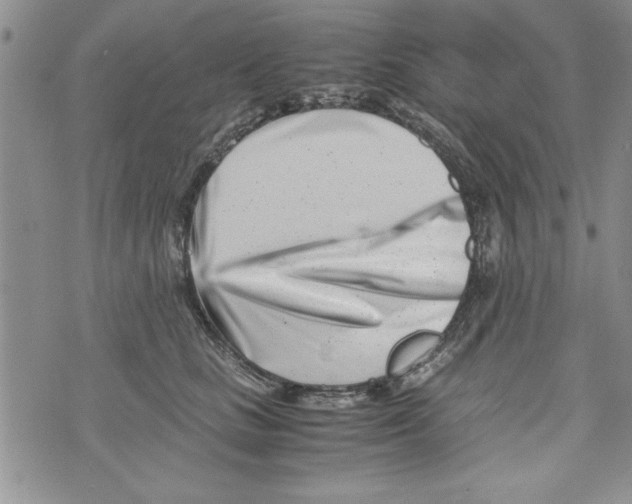 X0000071810661200607282354