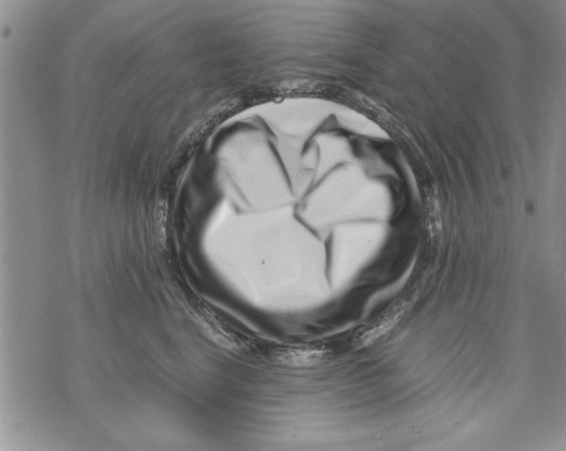 X0000071810664200607282354