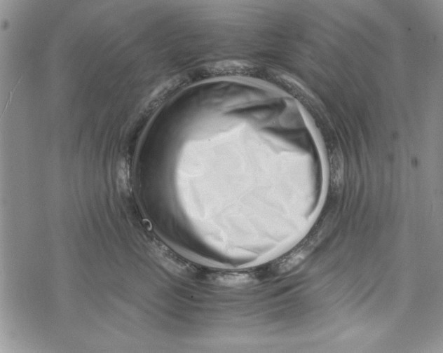 X0000071810669200607282354