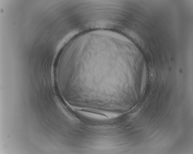 X0000071810678200607282353