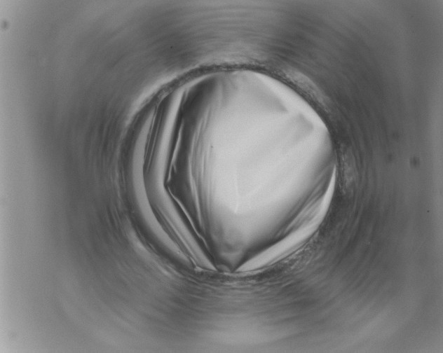 X0000071810680200607282353
