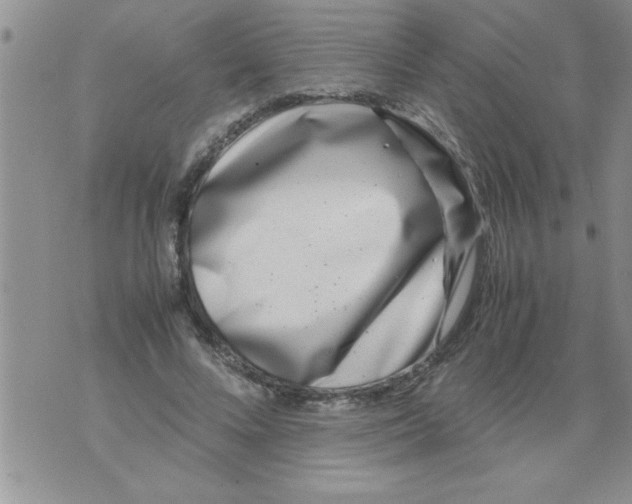 X0000071810688200607282353