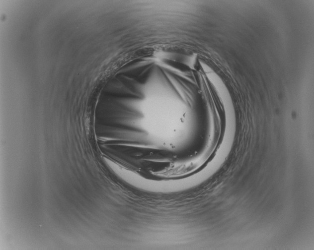 X0000071810697200607282353