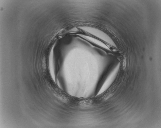 X0000071810700200607282353