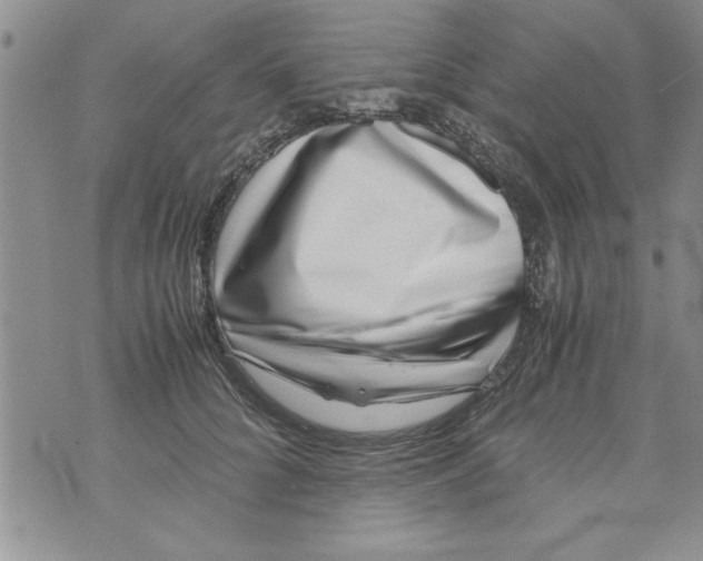 X0000071810704200607282353