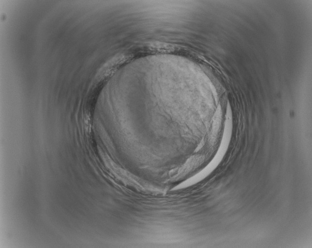 X0000071810713200607282352