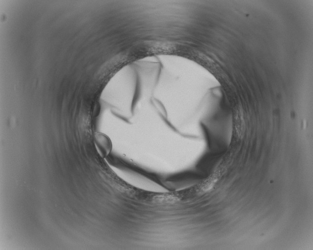 X0000071810714200607282352