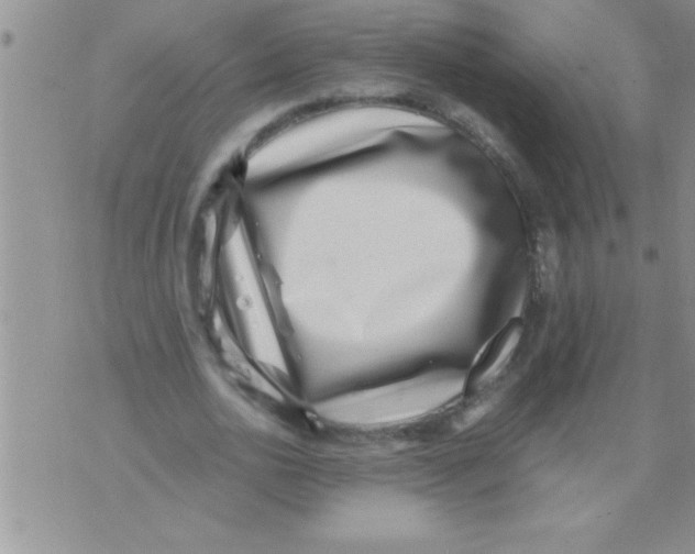 X0000071810726200607282352