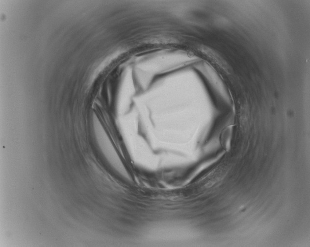 X0000071810727200607282352