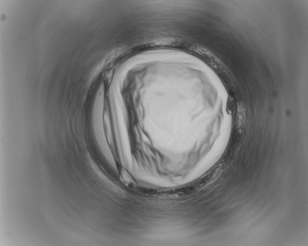 X0000071810734200607282352