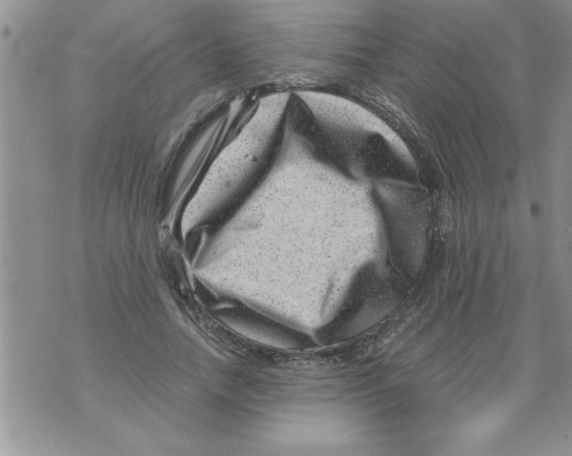 X0000071810738200607282352