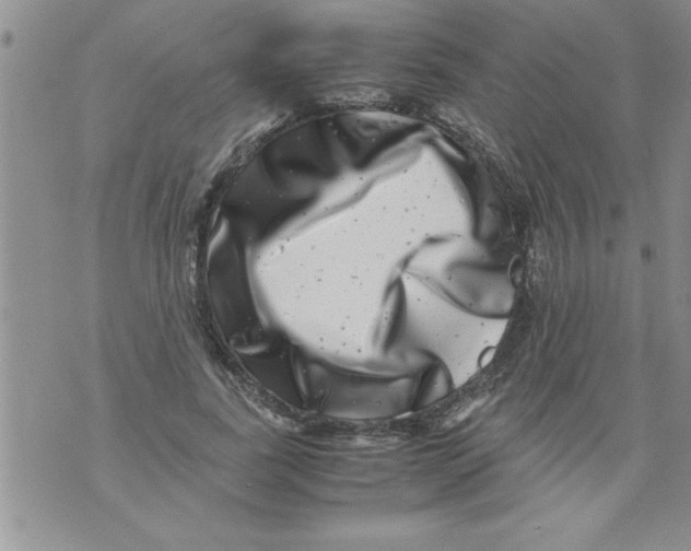 X0000071810739200607282352