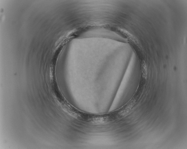 X0000071810740200607282352