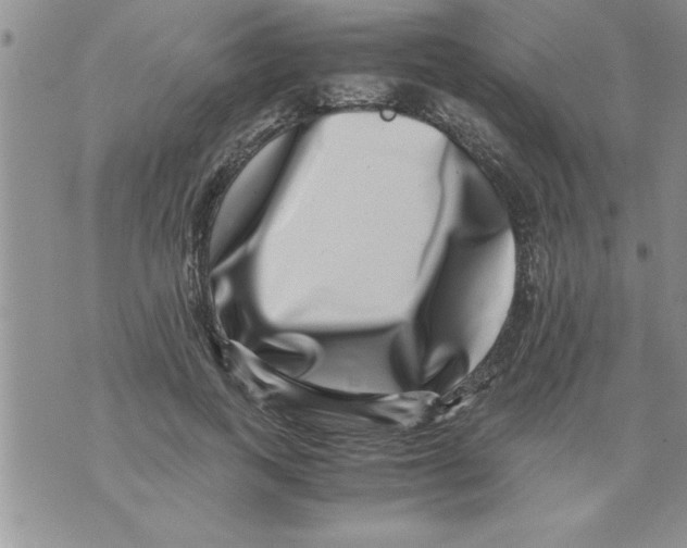 X0000071810743200607282352