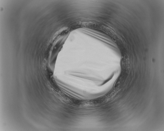 X0000071810750200607282352
