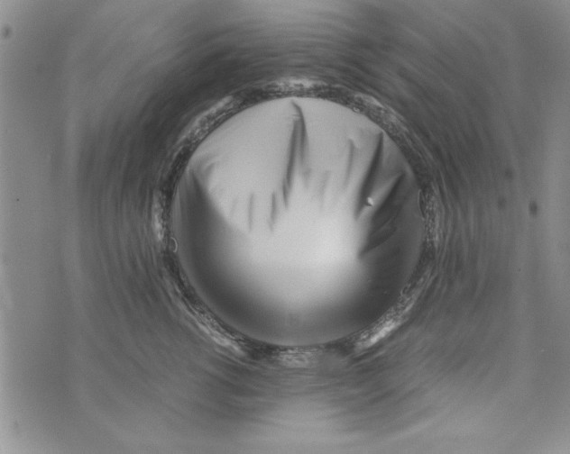 X0000071810762200607282352