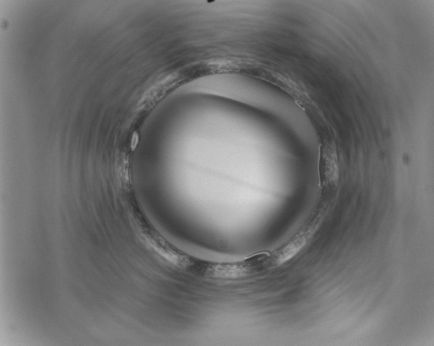 X0000071810766200607282352