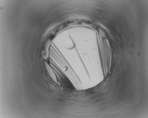 X0000071810775200607282351