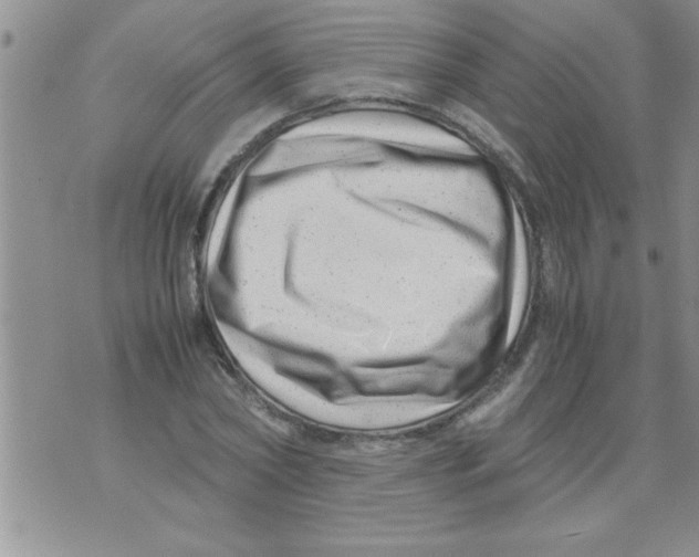 X0000071810782200607282351