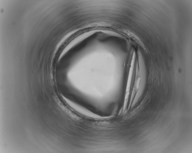 X0000071810784200607282351