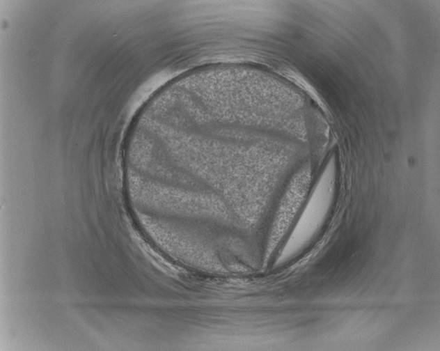 X0000071810787200607282351