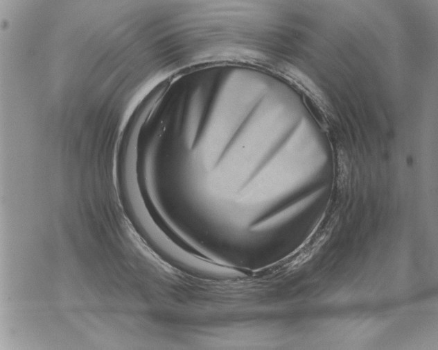 X0000071810788200607282351