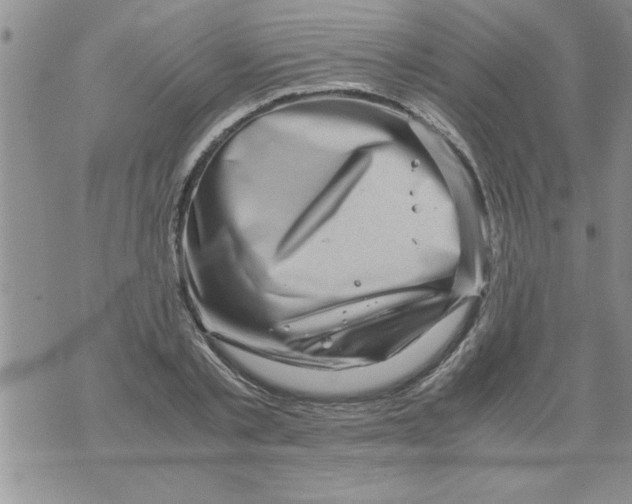 X0000071810789200607282351