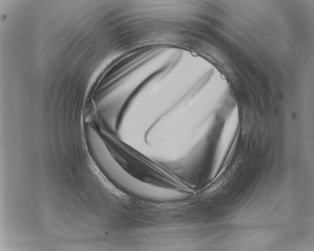 X0000071810796200607282351
