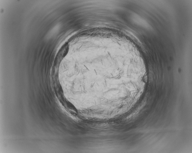 X0000071810798200607282351
