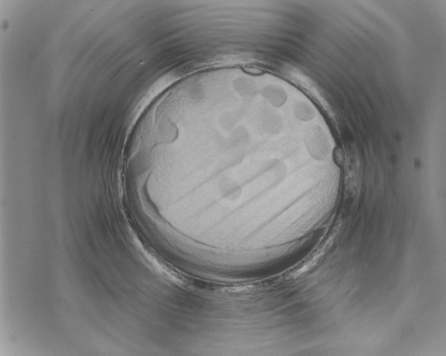 X0000071810810200607282351