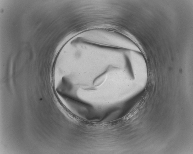 X0000071810811200607282351