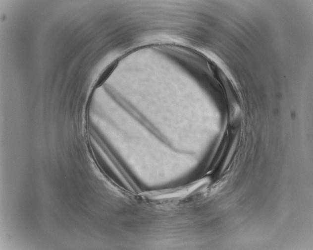 X0000071810815200607282351