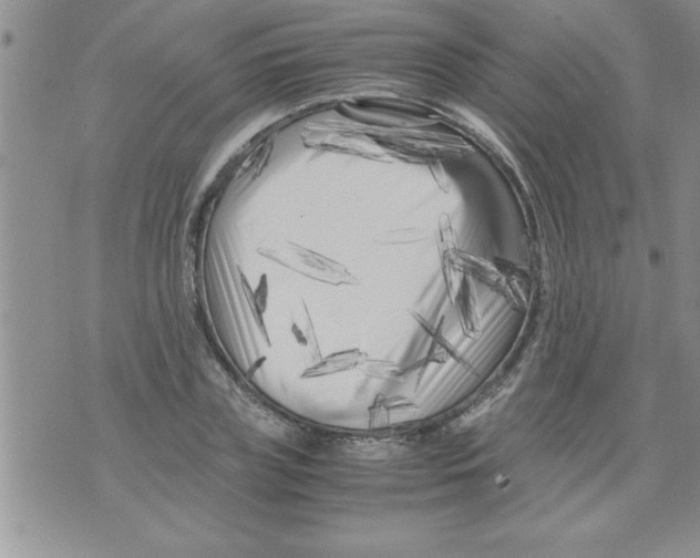 X0000071810835200607282350
