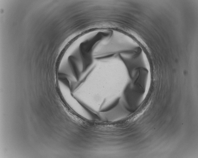 X0000071810837200607282350