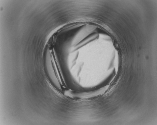 X0000071810838200607282350