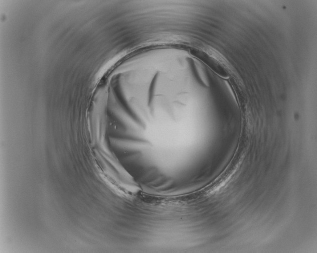 X0000071810842200607282350