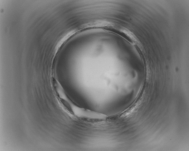 X0000071810850200607282351
