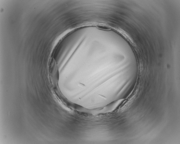 X0000071810854200607282351