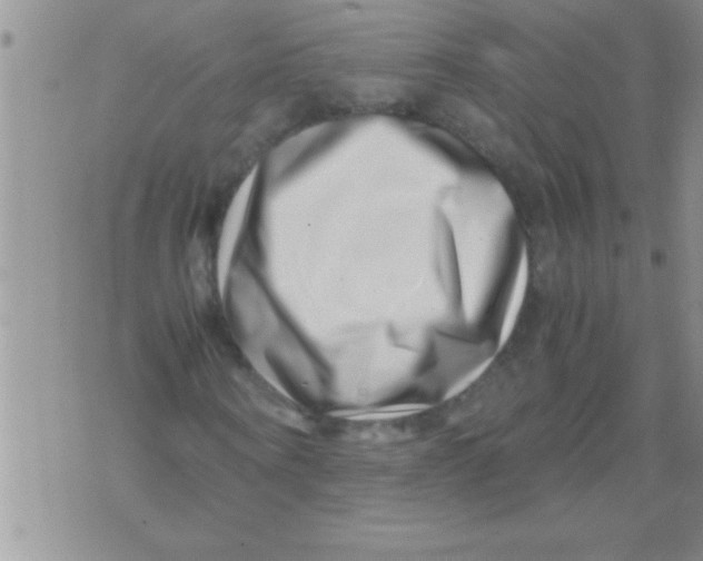 X0000071810866200607282350