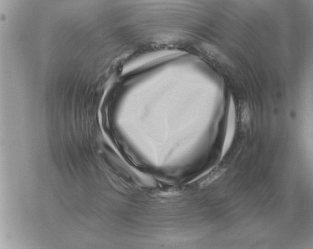 X0000071810868200607282350